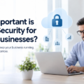 How Important is Cloud Security for Small Businesses