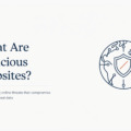 What are Malicious Websites