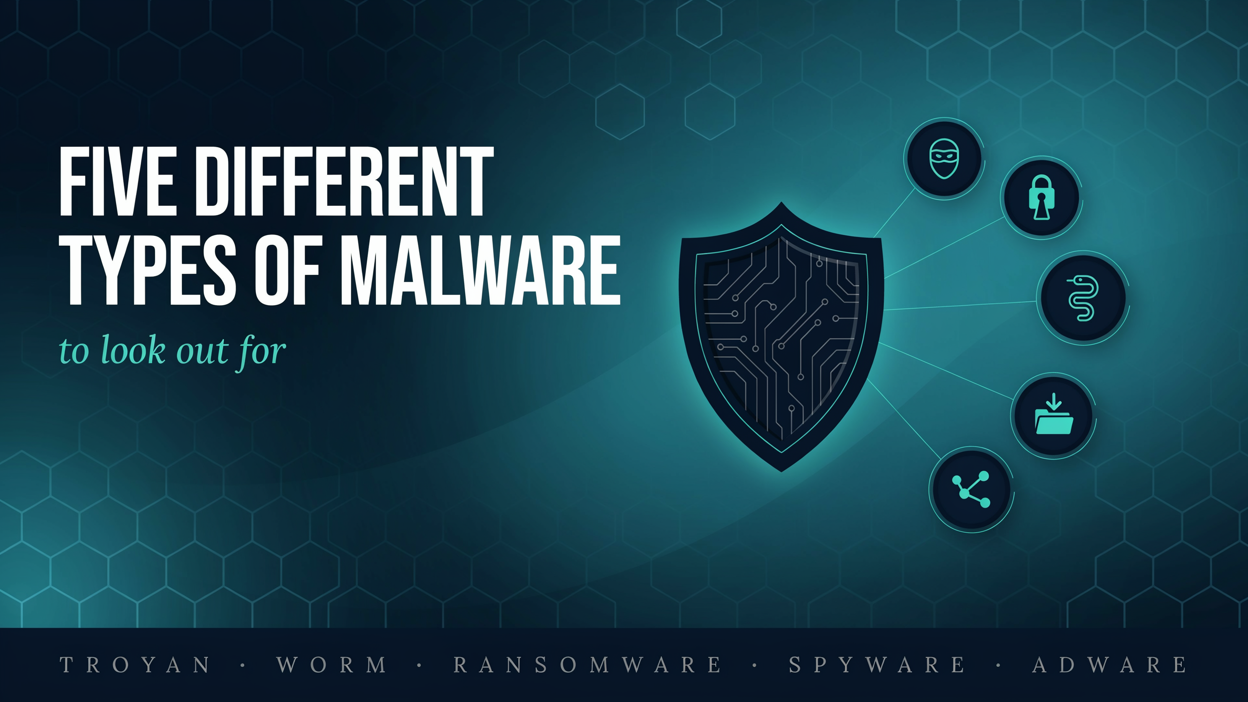 Five Different Types of Malware to Look Out For