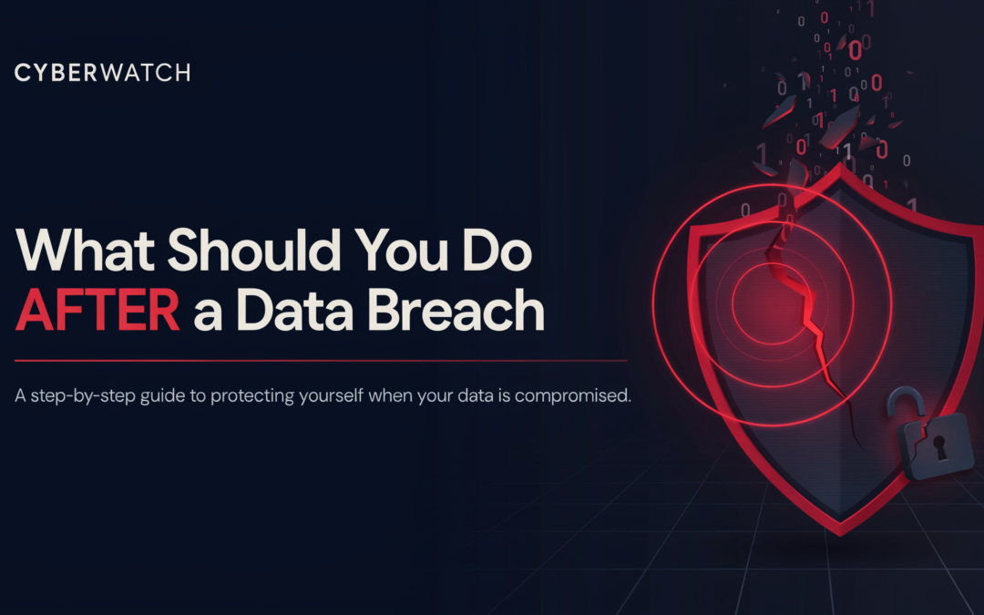 What Should You Do AFTER a Data Breach?