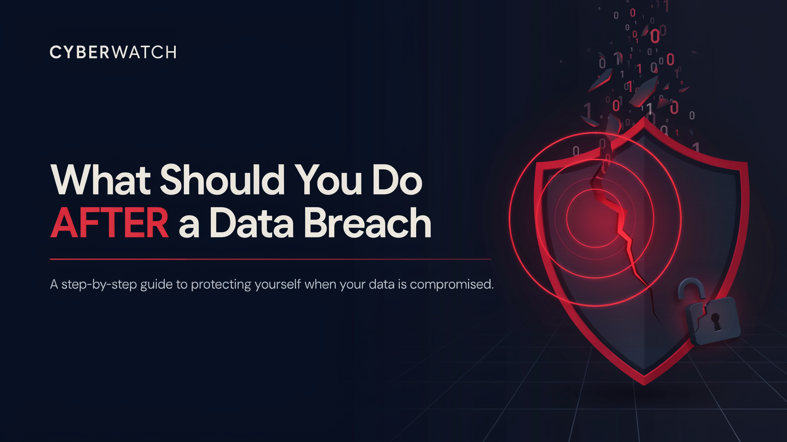 What Should You Do AFTER a Data Breach