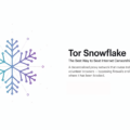 Tor Snowflake: The Best Way to Beat Internet Censorship