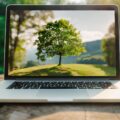 Sustainable Practices for a Greener IT Environment